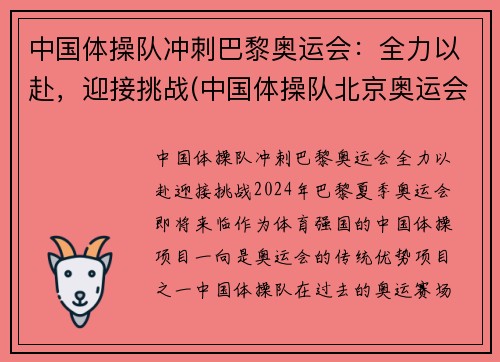中国体操队冲刺巴黎奥运会：全力以赴，迎接挑战(中国体操队北京奥运会)