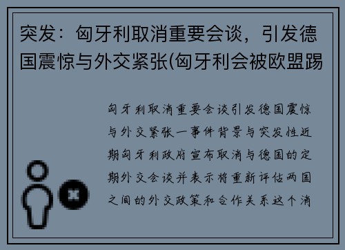 突发：匈牙利取消重要会谈，引发德国震惊与外交紧张(匈牙利会被欧盟踢出吗)